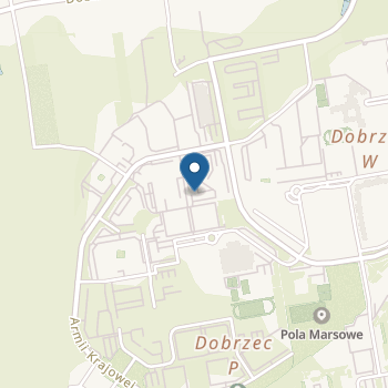 Niepubliczne Anglojęzyczne Przedszkole Artystyczne "Playart" na mapie