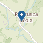 Punkt Przedszkolny w Pietruszej Woli na mapie