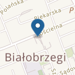 Niepubliczne Przedszkole "Akademia Przedszkolaka" na mapie