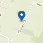 Niepubliczne Przedszkole Leśne Winners na mapie