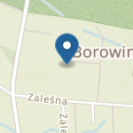 Niepubliczne Przedszkole Borowina na mapie