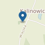 Przedszkole Publiczne w Kalinowicach na mapie