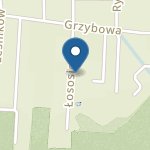 Przedszkole Niepubliczne "Iguś" w Łochowicach na mapie