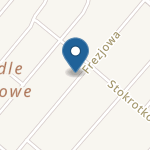 Szkółka Małego Dziecka Niepubliczny Punkt Przedszkolny na mapie