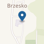 Szkoła Podstawowa w Brzesku - Punkt Przedszkolny na mapie