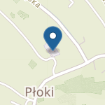 Publiczne Przedszkole w Płokach na mapie