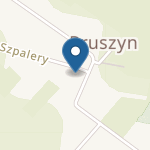 Publiczne Przedszkole w Pruszynie na mapie