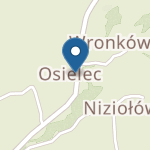Niepubliczne Przedszkole "Leśna Kraina" w Osielcu na mapie
