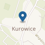 Punkt Przedszkolny w Kurowicach na mapie