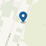 Przedszkole Terapeutyczne Mądre Główki na mapie