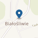 Samorządowe Przedszkole w Białośliwiu "Mali Odkrywcy" na mapie