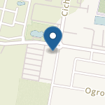 Niepubliczny Terapeutyczny Punkt Przedszkolny "Niebieski Koralik" w Pruszczu Gdańskim na mapie