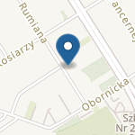 Punkt Przedszkolny "Zielony Latawiec" na mapie