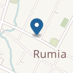 Niepubliczny Terapeutyczny Punkt Przedszkolny "Elfik" w Rumi na mapie